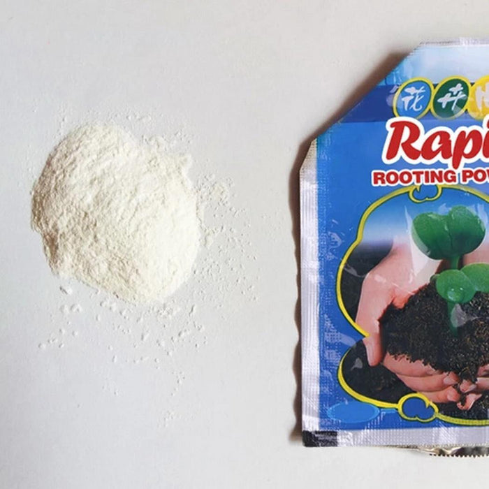 Rapid Rooting Powder (6 PACKS)-gadget mae