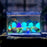 100Pcs Glow Stones-gadget mae